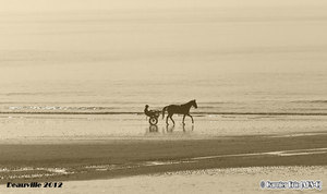 Deauville Trotteur sur la plage APS-C DEAUVILLE