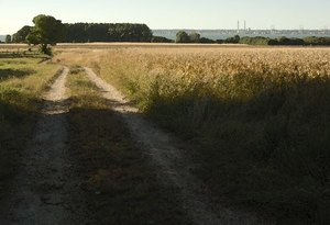 La campagne