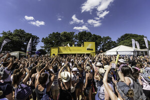 Studio Nikon vieilles charrues